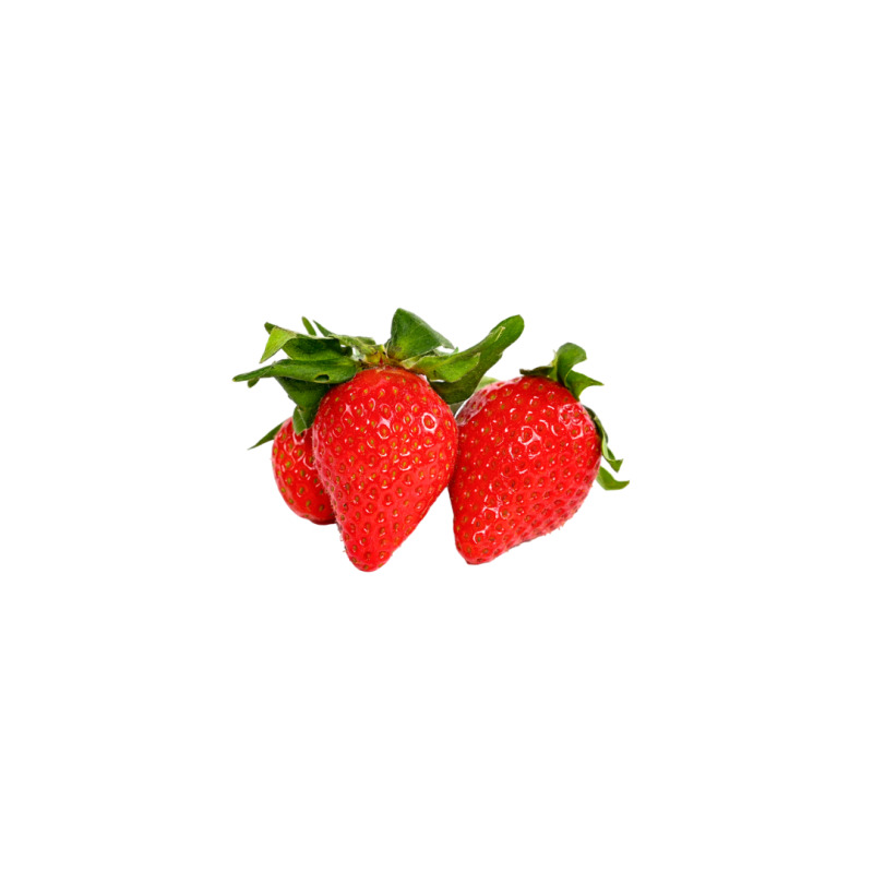 Probar