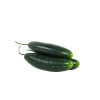 Krastavac 1Kg Krastavac 1Kg