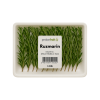 Ruzmarin 100G Ruzmarin 1Kg