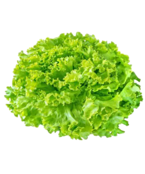 Iceberg salata 1kg