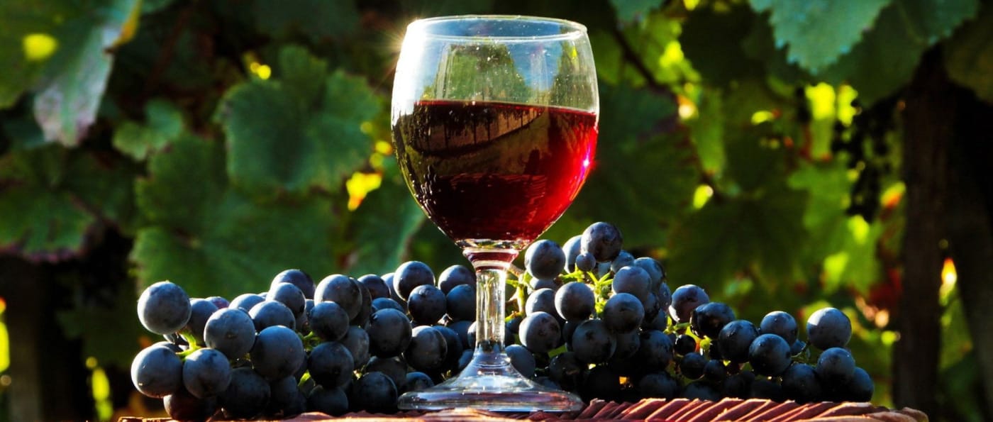 Vino: Čarolija U Čaši Vino