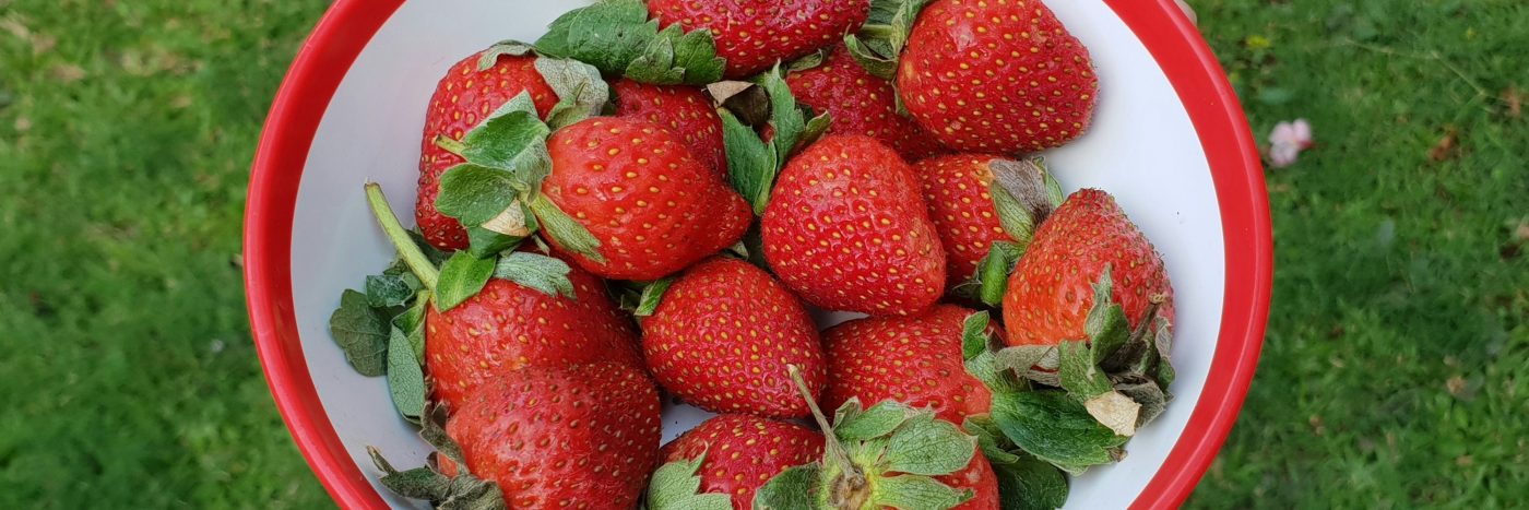 Vitamini, Superheroji Našeg Organizma Vitamini Na Tanjiru