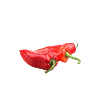 Paprika Šilja Crvena