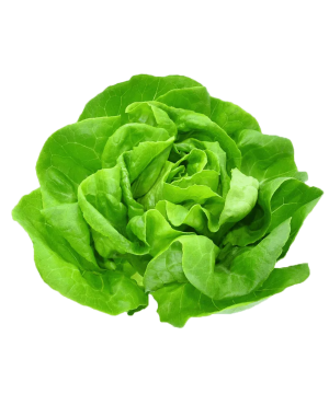 Salata puterica 1kg