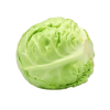 Mladi Kupus 1Kg Mladi Kupus 1Kg