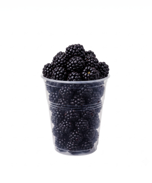Kupina 250g